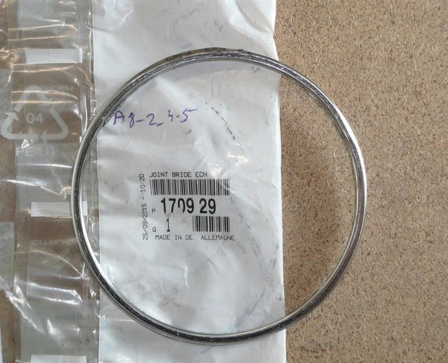 Citroen/Peugeot 1709 29 O-ring exhaust system 170929: Buy near me in Poland at 2407.PL - Good price!