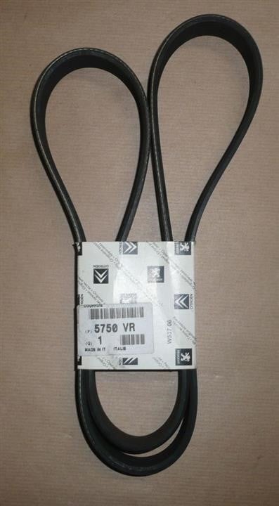 Citroen/Peugeot 5750 VR V-Ribbed Belt 5750VR: Buy near me in Poland at 2407.PL - Good price!