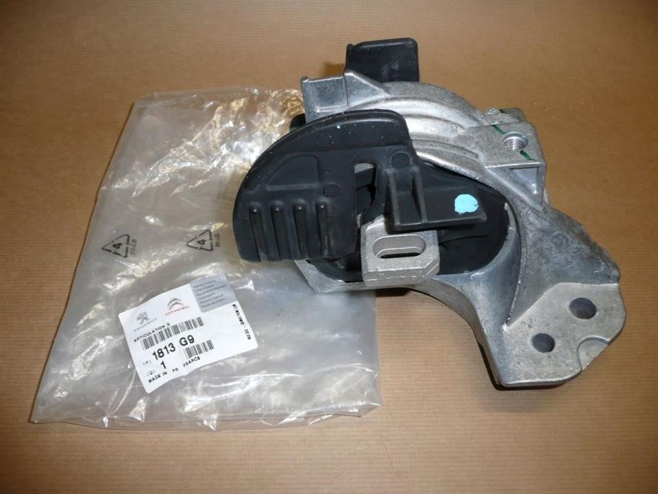 Citroen/Peugeot 1813 G9 Gearbox mount 1813G9: Buy near me in Poland at 2407.PL - Good price!