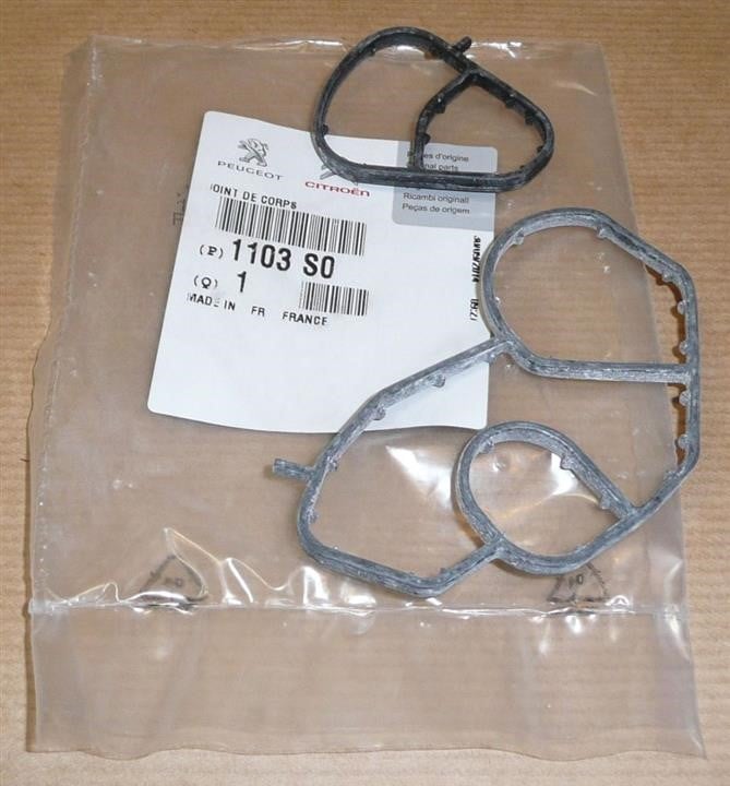Citroen/Peugeot 1103 S0 Seal 1103S0: Buy near me in Poland at 2407.PL - Good price!
