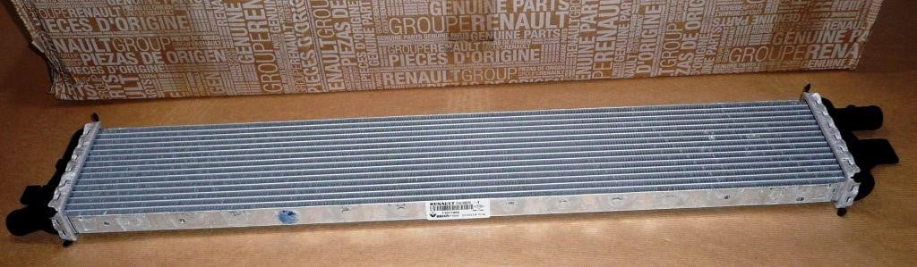 Renault 21 4C 100 01R Radiator, engine cooling 214C10001R: Buy near me at 2407.PL in Poland at an Affordable price!