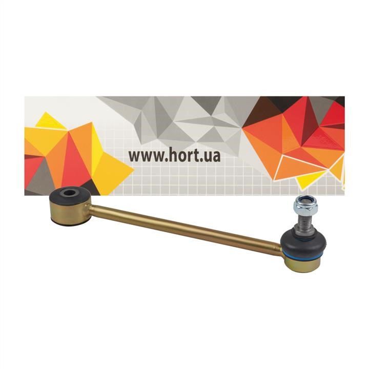 Hort HL60243 Rear stabilizer bar HL60243: Buy near me in Poland at 2407.PL - Good price!