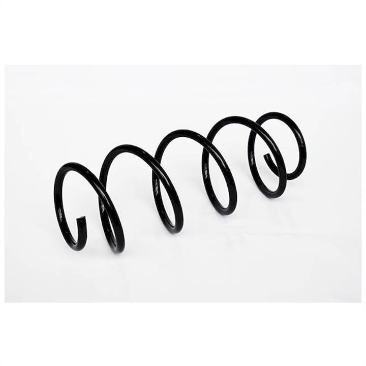 ASAM 73769 Suspension spring front 73769: Buy near me in Poland at 2407.PL - Good price!