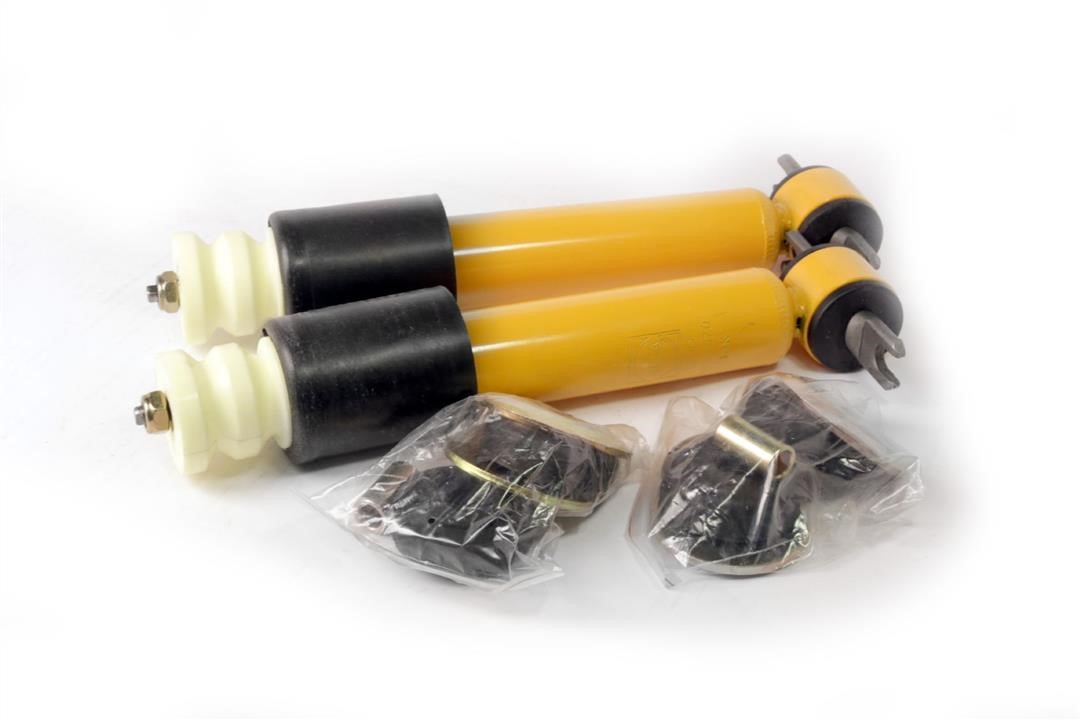Hola SH10-070 Front oil shock absorber SH10070: Buy near me in Poland at 2407.PL - Good price!