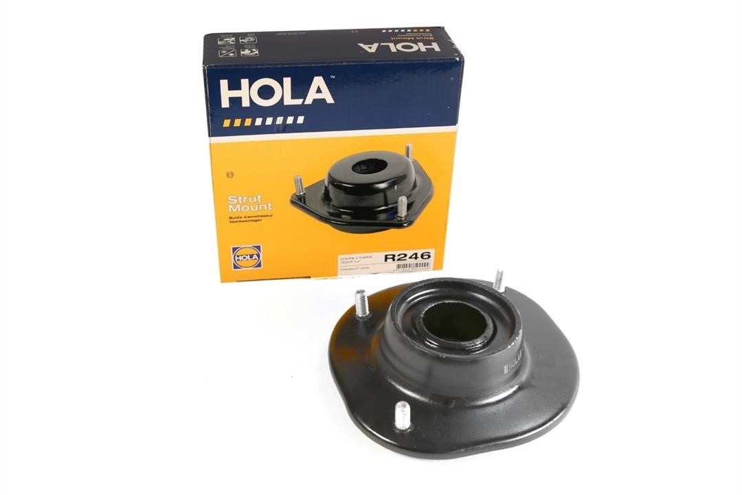 Buy Hola R246 at a low price in Poland!