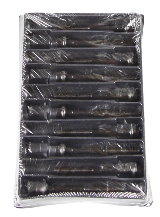 Payen HBS247 Cylinder Head Bolts Kit HBS247: Buy near me in Poland at 2407.PL - Good price!