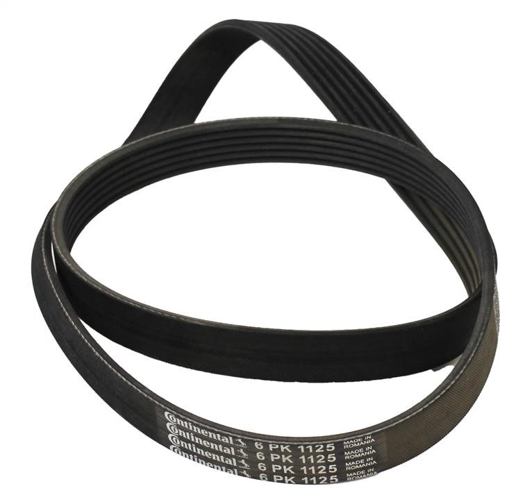 Contitech 6PK1125 V-ribbed belt 6PK1125 6PK1125: Buy near me in Poland at 2407.PL - Good price!