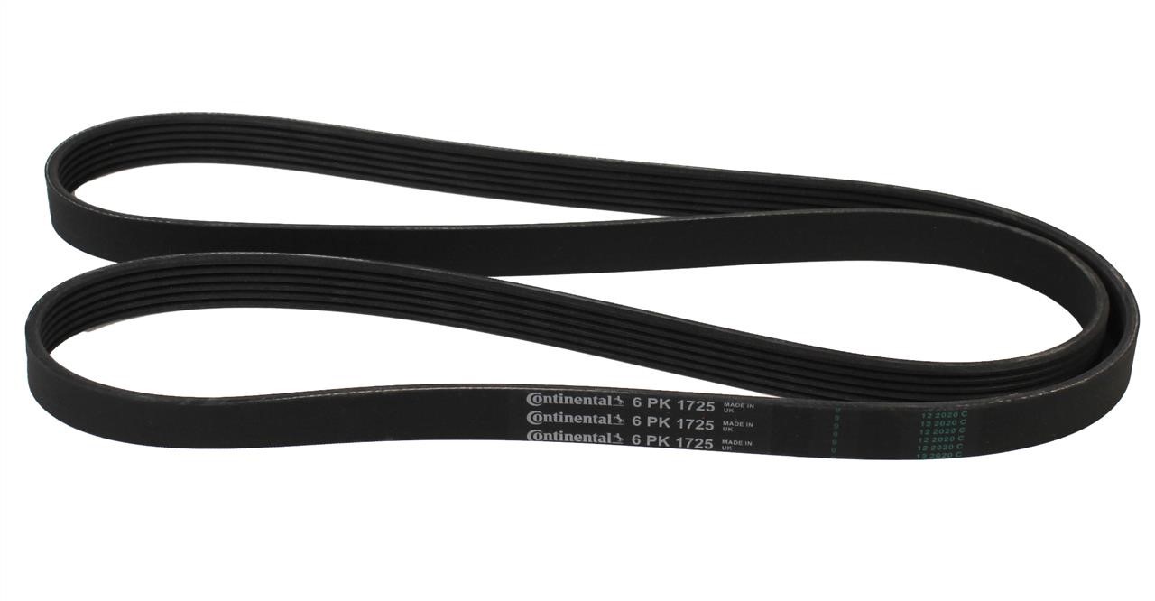 Contitech 6PK1725 V-ribbed belt 6PK1725 6PK1725: Buy near me in Poland at 2407.PL - Good price!