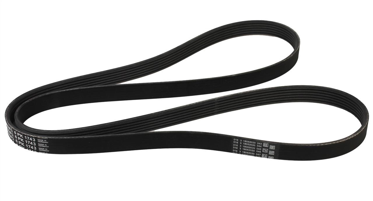 Contitech 6PK1743 V-ribbed belt 6PK1743 6PK1743: Buy near me in Poland at 2407.PL - Good price!