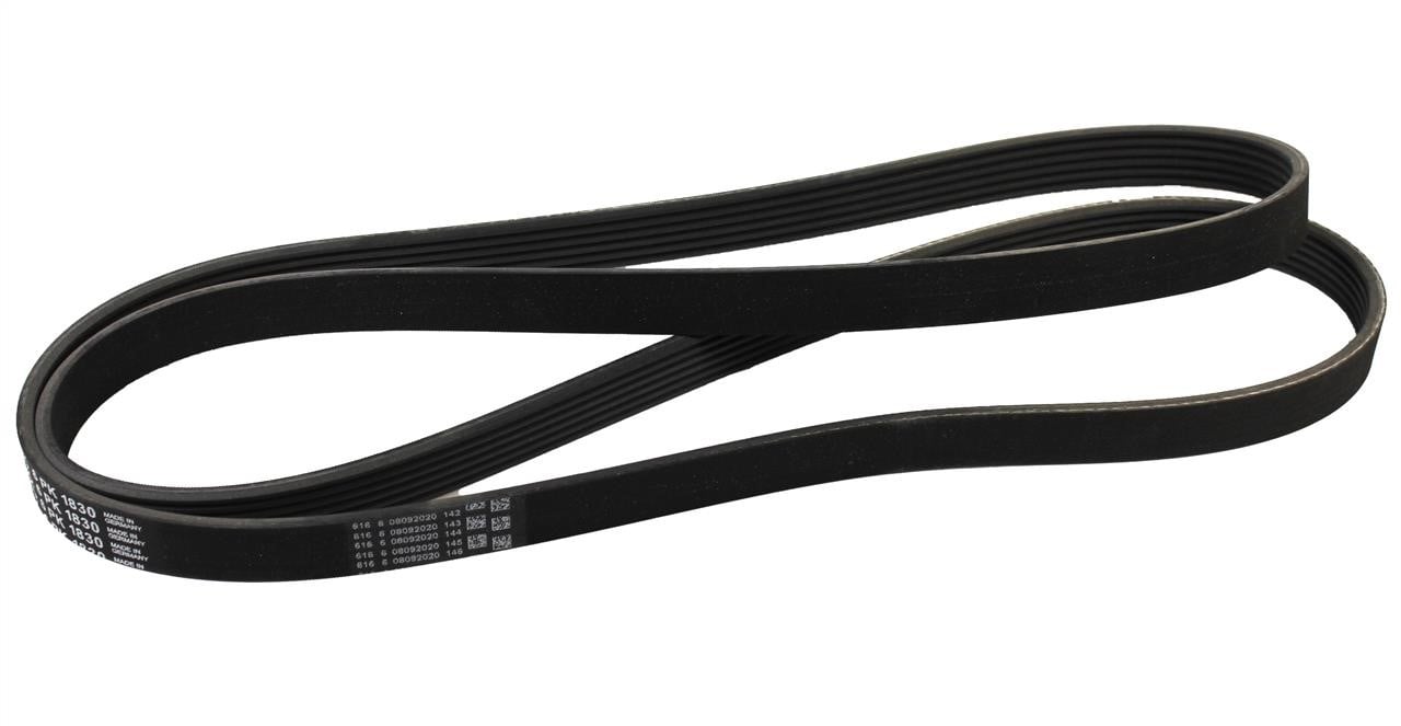 Contitech 6PK1830 V-ribbed belt 6PK1830 6PK1830: Buy near me in Poland at 2407.PL - Good price!