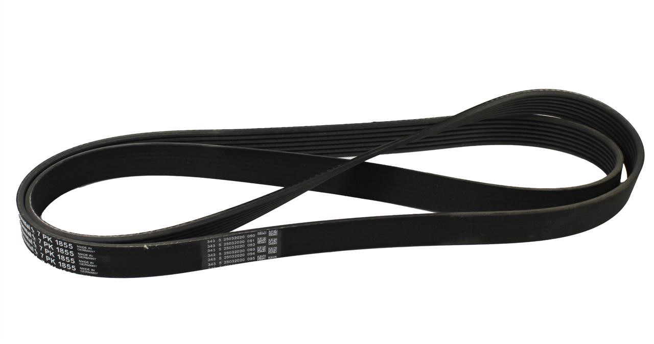 Contitech 7PK1855 V-ribbed belt 7PK1855 7PK1855: Buy near me in Poland at 2407.PL - Good price!