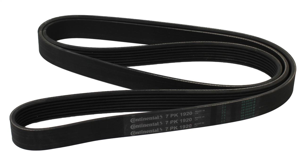 Contitech 7PK1920 V-ribbed belt 7PK1920 7PK1920: Buy near me in Poland at 2407.PL - Good price!