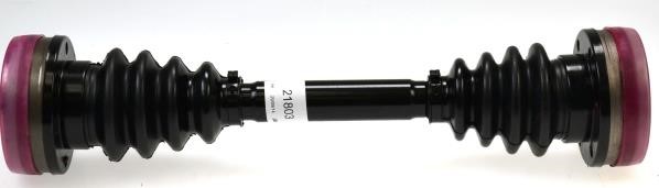 GKN-Spidan 21803 Drive shaft 21803: Buy near me at 2407.PL in Poland at an Affordable price!