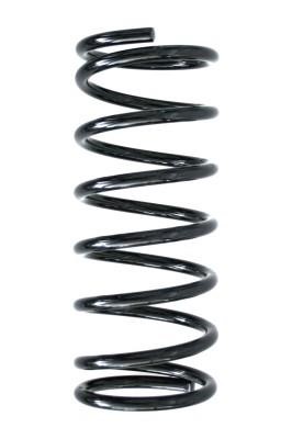 GKN-Spidan 48012 Suspension spring front 48012: Buy near me in Poland at 2407.PL - Good price!