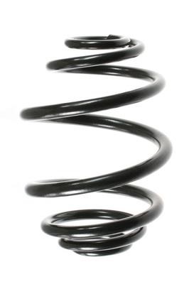 GKN-Spidan 48039 Coil Spring 48039: Buy near me at 2407.PL in Poland at an Affordable price!