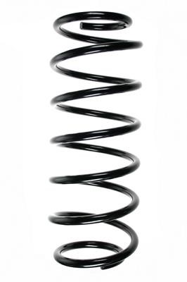 GKN-Spidan 48052 Suspension spring front 48052: Buy near me at 2407.PL in Poland at an Affordable price!