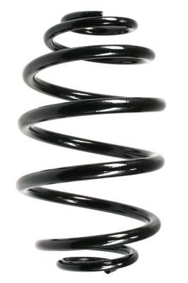 GKN-Spidan 48790 Coil Spring 48790: Buy near me at 2407.PL in Poland at an Affordable price!
