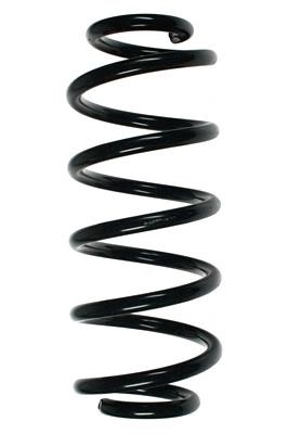 GKN-Spidan 49494 Suspension spring front 49494: Buy near me at 2407.PL in Poland at an Affordable price!