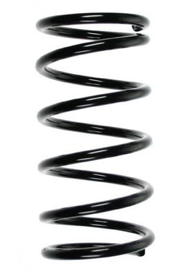 GKN-Spidan 49572 Coil Spring 49572: Buy near me at 2407.PL in Poland at an Affordable price!