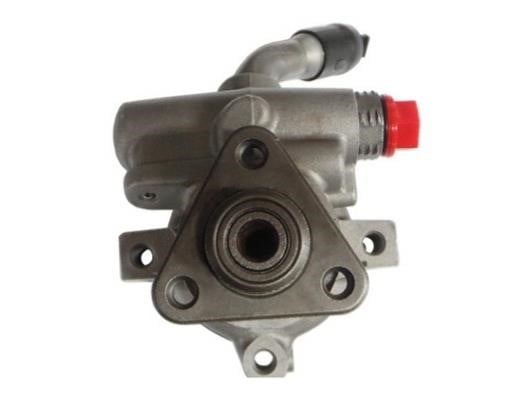 GKN-Spidan 52606 Hydraulic Pump, steering system 52606: Buy near me in Poland at 2407.PL - Good price!
