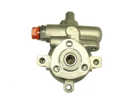 GKN-Spidan 53511 Hydraulic Pump, steering system 53511: Buy near me in Poland at 2407.PL - Good price!