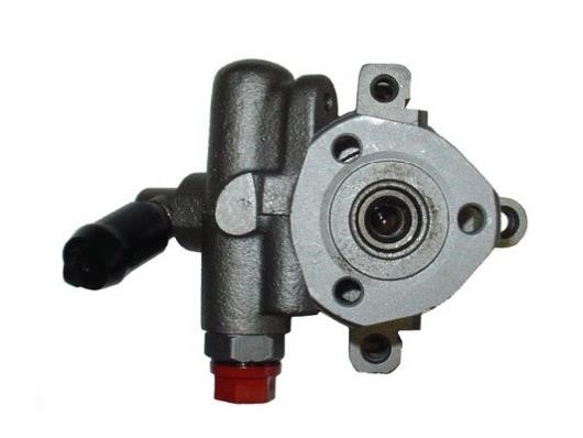 GKN-Spidan 53517 Hydraulic Pump, steering system 53517: Buy near me in Poland at 2407.PL - Good price!