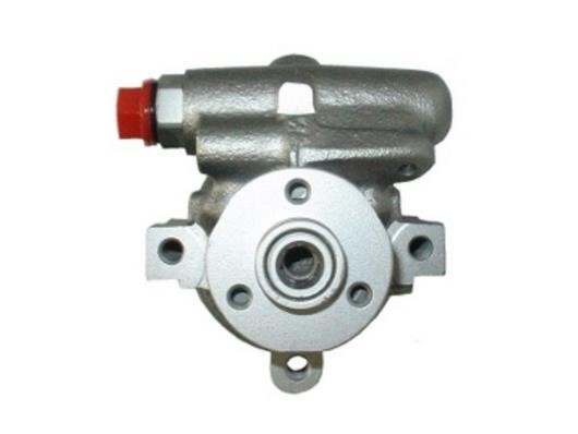 GKN-Spidan 53538 Hydraulic Pump, steering system 53538: Buy near me in Poland at 2407.PL - Good price!