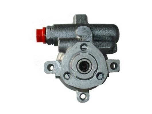 GKN-Spidan 53629 Hydraulic Pump, steering system 53629: Buy near me in Poland at 2407.PL - Good price!