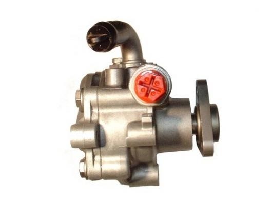 Hydraulic Pump, steering system GKN-Spidan 53719