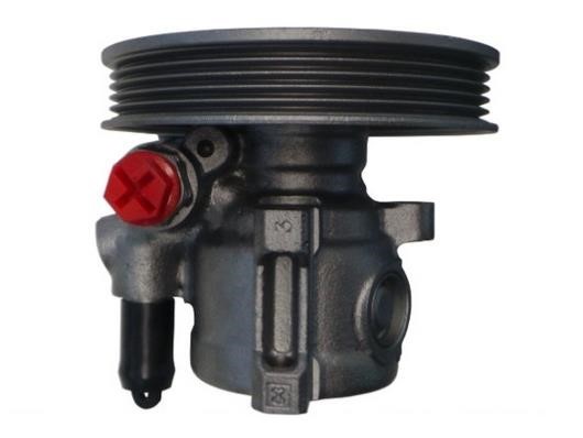 GKN-Spidan 53789 Hydraulic Pump, steering system 53789: Buy near me in Poland at 2407.PL - Good price!