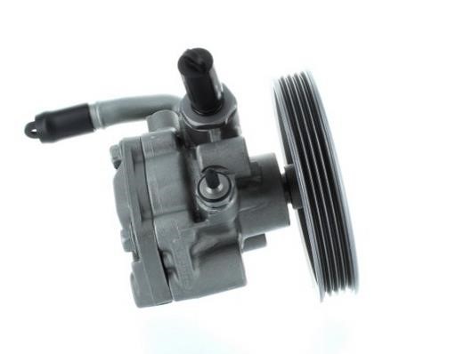 GKN-Spidan 53818 Hydraulic Pump, steering system 53818: Buy near me in Poland at 2407.PL - Good price!