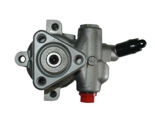 GKN-Spidan 53831 Hydraulic Pump, steering system 53831: Buy near me in Poland at 2407.PL - Good price!