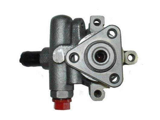 GKN-Spidan 53868 Hydraulic Pump, steering system 53868: Buy near me in Poland at 2407.PL - Good price!