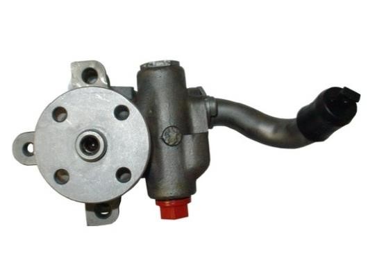 GKN-Spidan 53875 Hydraulic Pump, steering system 53875: Buy near me in Poland at 2407.PL - Good price!