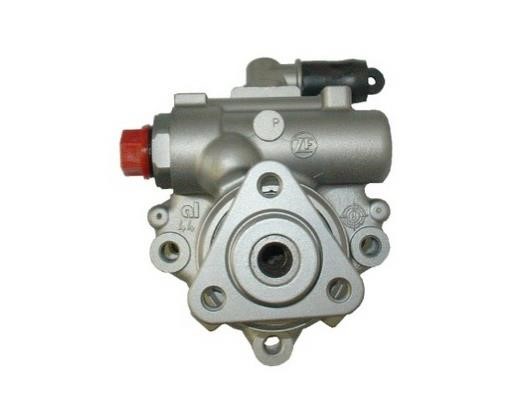 GKN-Spidan 53923 Hydraulic Pump, steering system 53923: Buy near me in Poland at 2407.PL - Good price!
