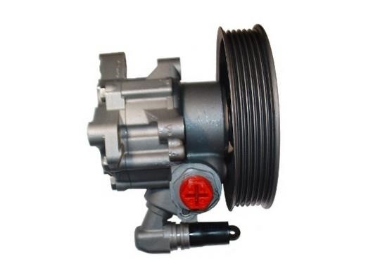 GKN-Spidan 53966 Hydraulic Pump, steering system 53966: Buy near me in Poland at 2407.PL - Good price!