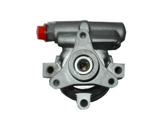 GKN-Spidan 53973 Hydraulic Pump, steering system 53973: Buy near me in Poland at 2407.PL - Good price!