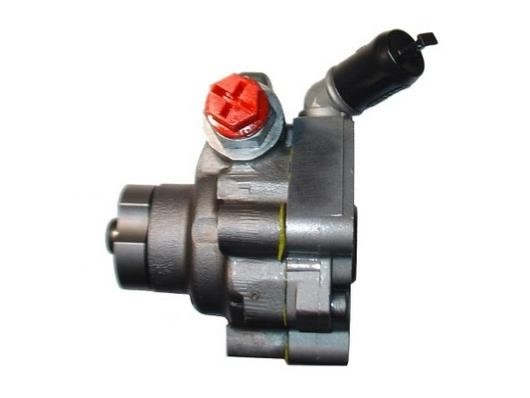 GKN-Spidan 54219 Hydraulic Pump, steering system 54219: Buy near me in Poland at 2407.PL - Good price!