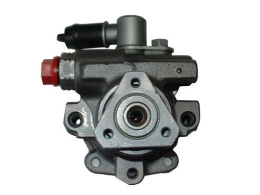 GKN-Spidan 54247 Hydraulic Pump, steering system 54247: Buy near me at 2407.PL in Poland at an Affordable price!