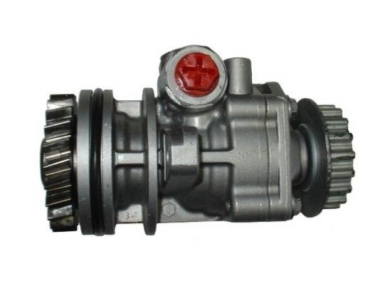 GKN-Spidan 54273 Hydraulic Pump, steering system 54273: Buy near me in Poland at 2407.PL - Good price!