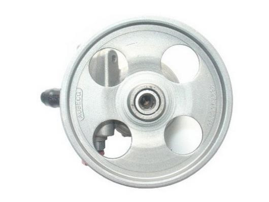 GKN-Spidan 54304 Hydraulic Pump, steering system 54304: Buy near me in Poland at 2407.PL - Good price!