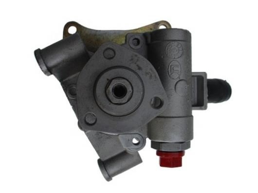 GKN-Spidan 54315 Hydraulic Pump, steering system 54315: Buy near me in Poland at 2407.PL - Good price!