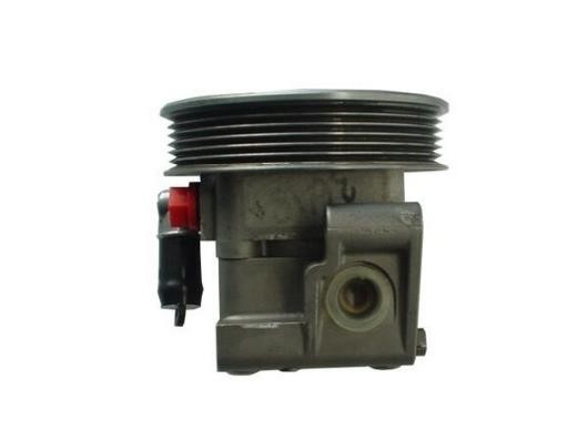 GKN-Spidan 54353 Hydraulic Pump, steering system 54353: Buy near me in Poland at 2407.PL - Good price!