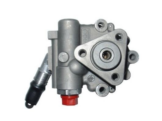 GKN-Spidan 54355 Hydraulic Pump, steering system 54355: Buy near me in Poland at 2407.PL - Good price!