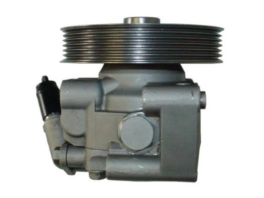 GKN-Spidan 54389 Hydraulic Pump, steering system 54389: Buy near me in Poland at 2407.PL - Good price!