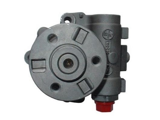 GKN-Spidan 54397 Hydraulic Pump, steering system 54397: Buy near me in Poland at 2407.PL - Good price!