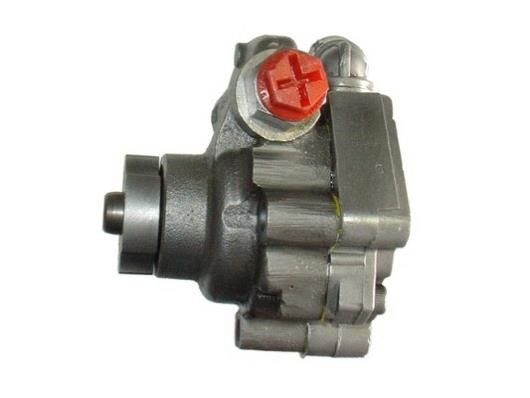 GKN-Spidan 54404 Hydraulic Pump, steering system 54404: Buy near me in Poland at 2407.PL - Good price!