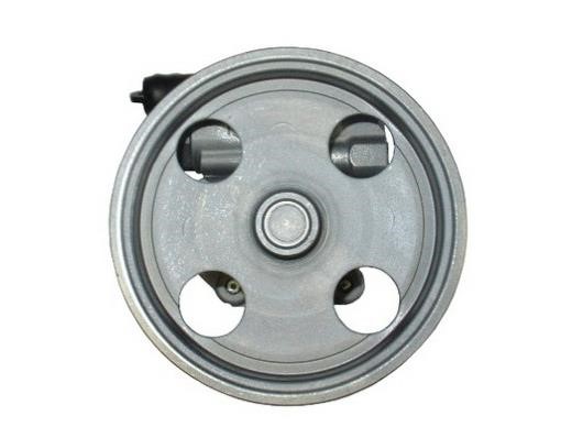 GKN-Spidan 54418 Hydraulic Pump, steering system 54418: Buy near me in Poland at 2407.PL - Good price!