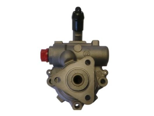 GKN-Spidan 54421 Hydraulic Pump, steering system 54421: Buy near me in Poland at 2407.PL - Good price!