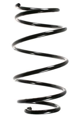 GKN-Spidan 55103 Suspension spring front 55103: Buy near me at 2407.PL in Poland at an Affordable price!